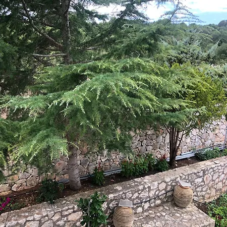 Domus Apartament