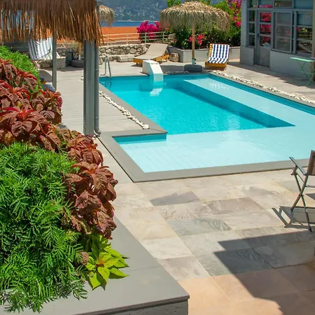 Domus Apartament *