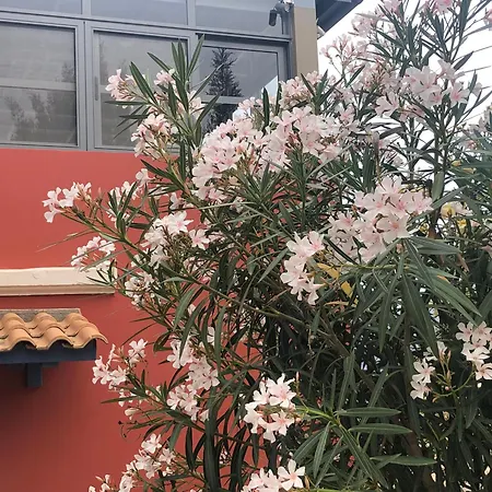 Domus Apartment Katsaráta